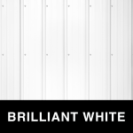 brilliant white metal color